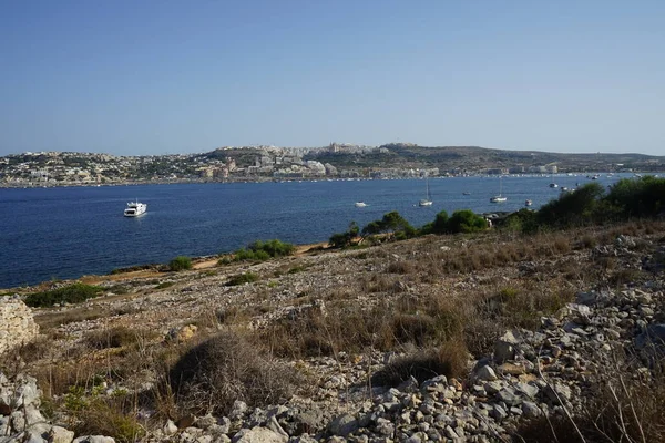  L-Ahrax sahil şeridinde kayalık kıyılar ve eşsiz bitki örtüsü. L-Ahrax, Mellieha, Malta 