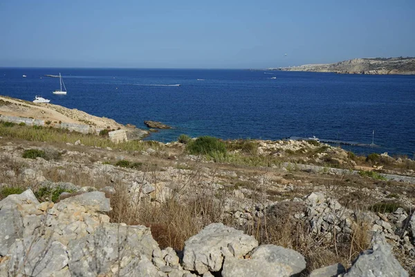 Skalnaté Břehy Jedinečná Vegetace Pobřeží Ahrax Ahrax Mellieha Malta — Stock fotografie