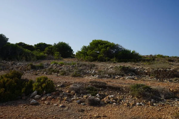 Великолепный Горный Пейзаж Уникальной Растительностью Ahrax Меллиеха Мальта — стоковое фото