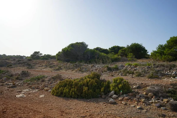 Magnífico Paisaje Montaña Con Vegetación Única Ahrax Mellieha Malta — Foto de Stock