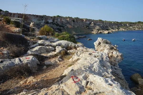 L-Ahrax sahil şeridinde kayalık kıyılar ve eşsiz bitki örtüsü. L-Ahrax, Mellieha, Malta  