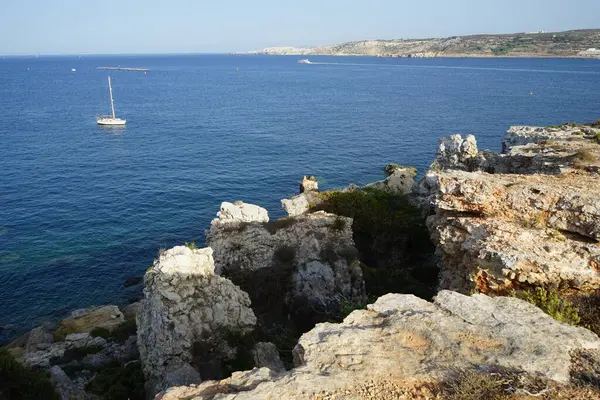  L-Ahrax sahil şeridinde kayalık kıyılar ve eşsiz bitki örtüsü. L-Ahrax, Mellieha, Malta 