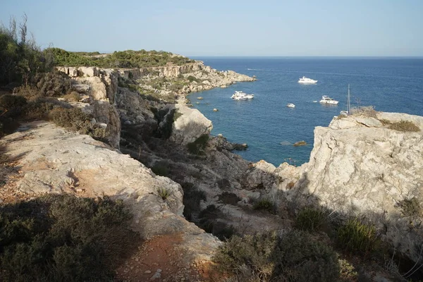 L-Ahrax sahil şeridinde kayalık kıyılar ve eşsiz bitki örtüsü. L-Ahrax, Mellieha, Malta 