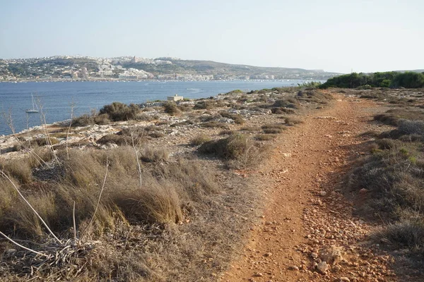 L-Ahrax sahil şeridinde kayalık kıyılar ve eşsiz bitki örtüsü. L-Ahrax, Mellieha, Malta 