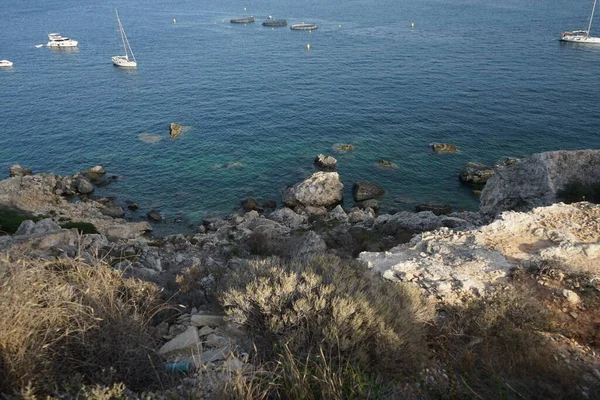 L-Ahrax sahil şeridinde kayalık kıyılar ve eşsiz bitki örtüsü. L-Ahrax, Mellieha, Malta 