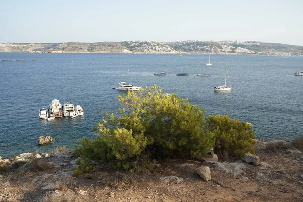 L-Ahrax sahil şeridinde kayalık kıyılar ve eşsiz bitki örtüsü. L-Ahrax, Mellieha, Malta 