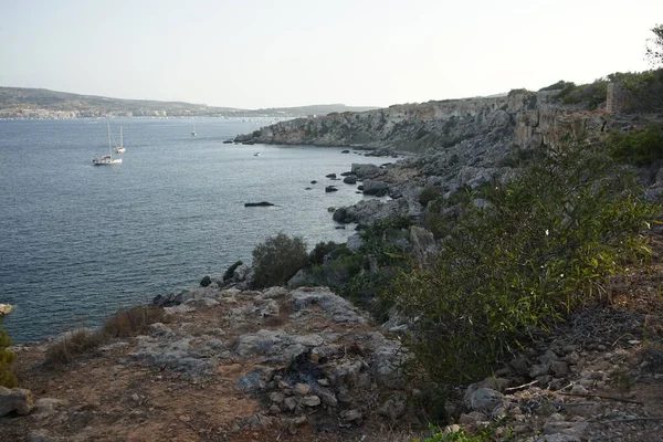 L-Ahrax sahil şeridinde kayalık kıyılar ve eşsiz bitki örtüsü. L-Ahrax, Mellieha, Malta 