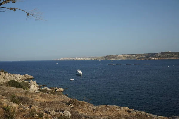 L-Ahrax sahil şeridinde kayalık kıyılar ve eşsiz bitki örtüsü. L-Ahrax, Mellieha, Malta 