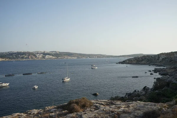 Côtes Rocheuses Végétation Unique Sur Littoral Ahrax Ahrax Mellieha Malte — Photo