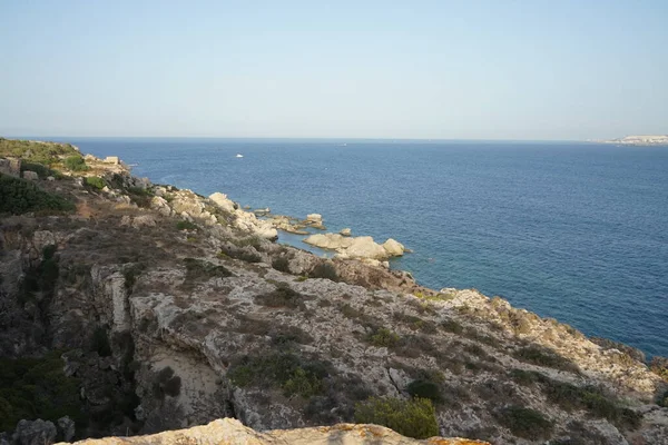 L-Ahrax sahil şeridinde kayalık kıyılar ve eşsiz bitki örtüsü. L-Ahrax, Mellieha, Malta 