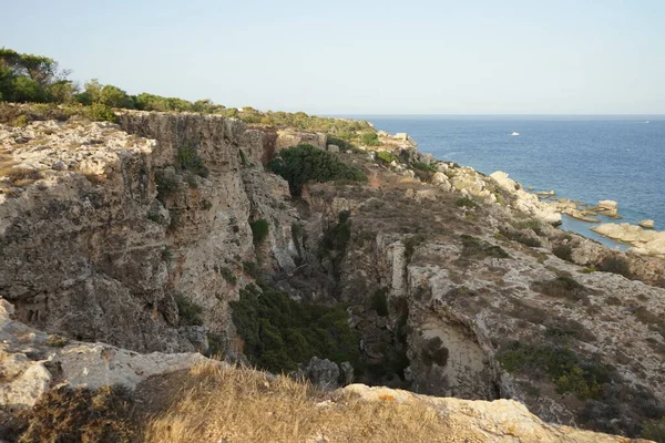 L-Ahrax sahil şeridinde kayalık kıyılar ve eşsiz bitki örtüsü. L-Ahrax, Mellieha, Malta 