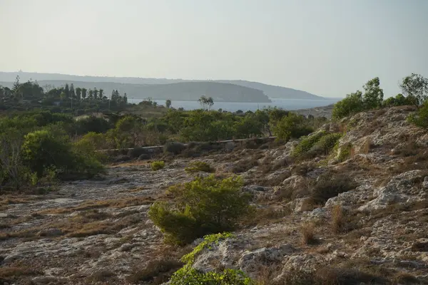 Skalnaté Břehy Jedinečná Vegetace Pobřeží Ahrax Ahrax Mellieha Malta — Stock fotografie