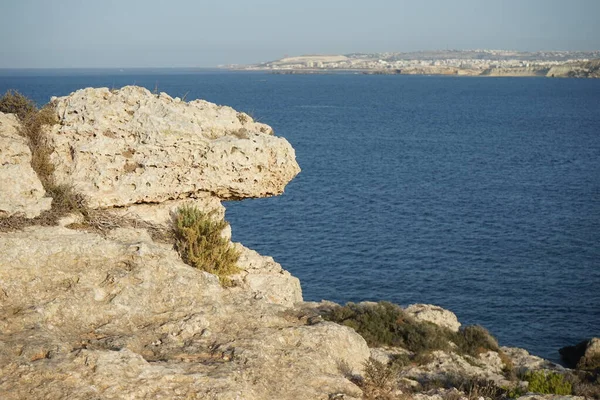 L-Ahrax sahil şeridinde kayalık kıyılar ve eşsiz bitki örtüsü. L-Ahrax, Mellieha, Malta 