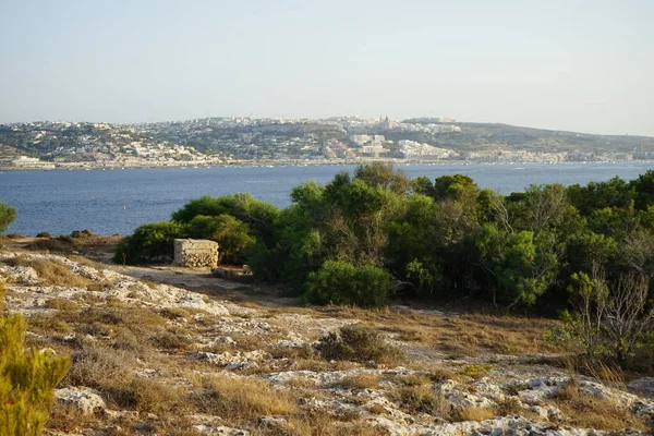 L-Ahrax sahil şeridinde kayalık kıyılar ve eşsiz bitki örtüsü. L-Ahrax, Mellieha, Malta 