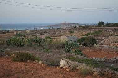 Ağustosta sebze bahçeleri. Marfa, Mellieha, Malta 