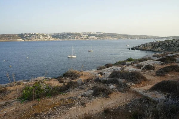 L-Ahrax sahil şeridinde kayalık kıyılar ve eşsiz bitki örtüsü. L-Ahrax, Mellieha, Malta 