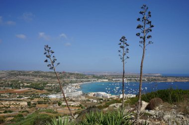 Mellieha Sahili manzarası. Mellieha, Malta 