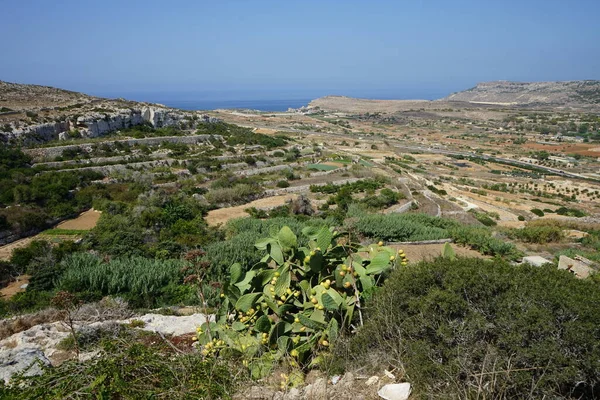 Magnífico Paisaje Montañoso Las Estructuras Arquitectónicas Mellieha Malta — Foto de Stock