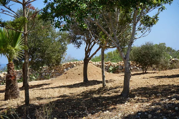 Brought Garden Mountain Pile Fertile Soil Selmun Mellieha Malta — Stock Photo, Image