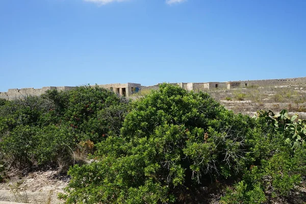 Olha Para Edifícios Arruinados Forte Campbell Selmun Mellieha Malta — Fotografia de Stock