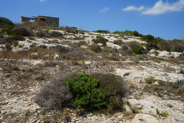 Mira Los Edificios Arruinados Fort Campbell Selmun Mellieha Malta — Foto de Stock
