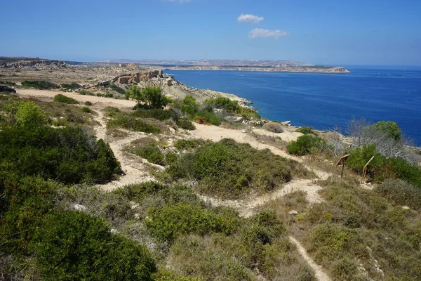 Красивый Пейзаж Видом Средиземное Море Selmun Mellieha Malta — стоковое фото