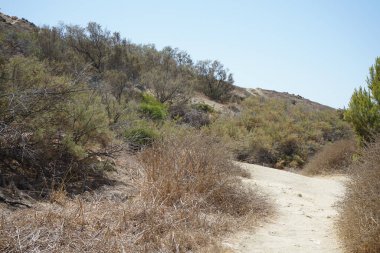 Fortizza Riviera 'da eşsiz bitki örtüsüyle muhteşem bir dağ manzarası. Ghajn Tuffieha, Mellieha, Malta 