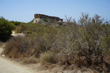 Fortizza Riviera 'da eşsiz bitki örtüsüyle muhteşem bir dağ manzarası. Ghajn Tuffieha, Mellieha, Malta 