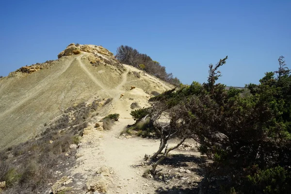 Magnífico Paisaje Montaña Con Vegetación Única Fortizza Riviera Ghajn Tuffieha — Foto de Stock