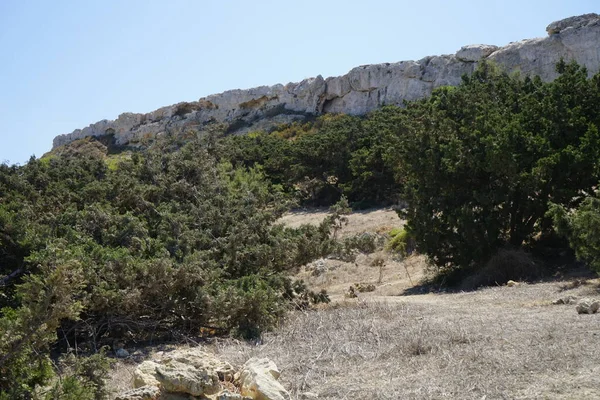 Magnifique Paysage Montagne Avec Une Végétation Unique Fortizza Riviera Ghajn — Photo