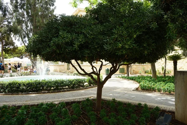 The Upper Barrakka Gardens are a public garden in Valletta, Malta.