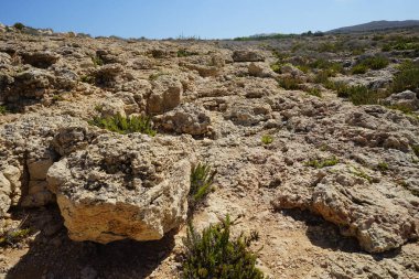Kuraklığa dayanıklı eşsiz bitki örtüsüyle harika bir dağ manzarası. Triq Tal-Prajjet, Il-Mellieha, Malta.  