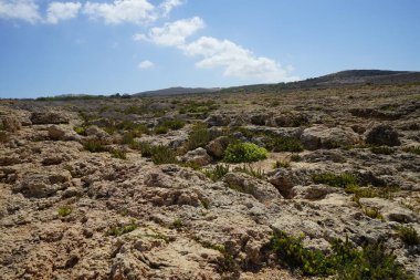 Kuraklığa dayanıklı eşsiz bitki örtüsüyle harika bir dağ manzarası. Triq Tal-Prajjet, Il-Mellieha, Malta.  