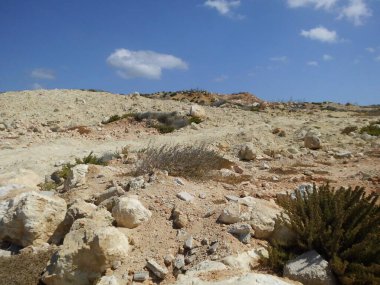 Kuraklığa dayanıklı eşsiz bitki örtüsüyle harika bir dağ manzarası. Triq Tal-Prajjet, Il-Mellieha, Malta.  