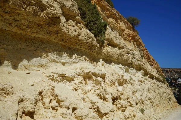 Unique Drought Resistant Vegetation Rocks Triq Tal Prajjet Mellieha Malta — Stock Photo, Image