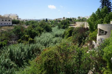 Mosta, Malta 'daki muhteşem mimari ve eşsiz bitki örtüsü 