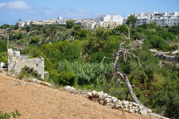Maravillosa Arquitectura Vegetación Única Mosta Malta — Foto de Stock