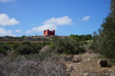Aziz Agatha Kulesi ve egzotik bitki örtüsü manzarası. Mellieha, Malta 