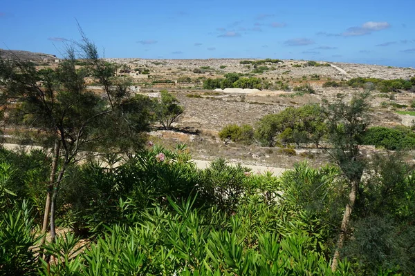 Herrliche Berglandschaft Klassische Gebäude Und Exotische Vegetation Ahrax Mellieha Malta — Stockfoto