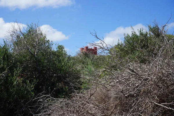 Vue Sur Tour Sainte Agathe Ses Environs Avec Une Végétation — Photo