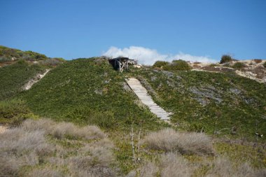 Malta, Mellieha 'da binalar ve eşsiz bitki örtüsü.