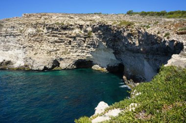 Rdum il-Qammieh kayalığı yakınlarındaki Akdeniz 'in güzel kayalık kıyıları. Qammieh, Mellieha, Malta 