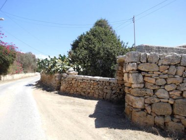 Malta, Mellieha 'da binalar ve eşsiz bitki örtüsü.