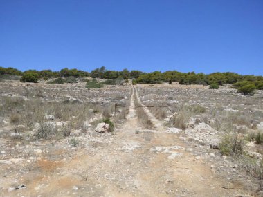 Malta, Mellieha 'da binalar ve eşsiz bitki örtüsü.