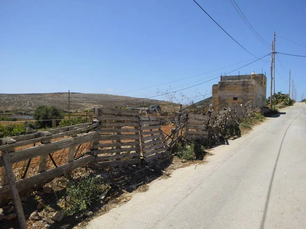 Budovy Jedinečná Vegetace Mellieha Malta — Stock fotografie