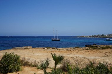 Akdeniz kıyılarında güzel bir bitki örtüsü. Marfa, Mellieha, Malta 