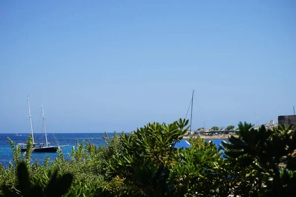 Belle Végétation Sur Les Rives Mer Méditerranée Marfa Mellieha Malte — Photo