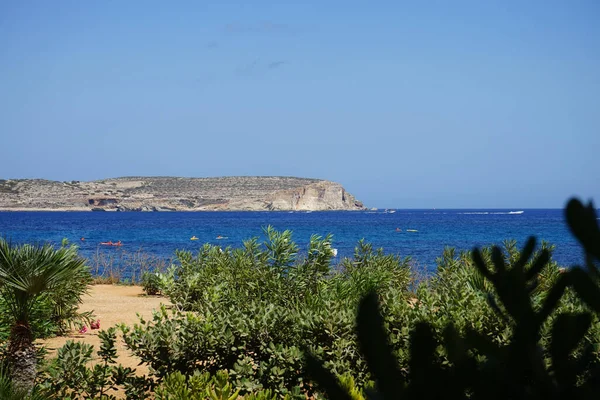 Красивая Растительность Берегу Средиземного Моря Марфа Меллиеха Мальта — стоковое фото