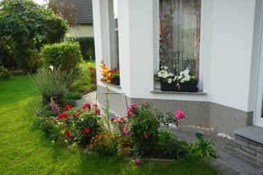 Evin yakınındaki çiçek tarhında. Berlin, Almanya