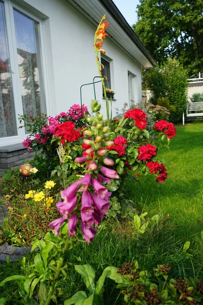 Cama Flores Cerca Casa Berlín Alemania —  Fotos de Stock